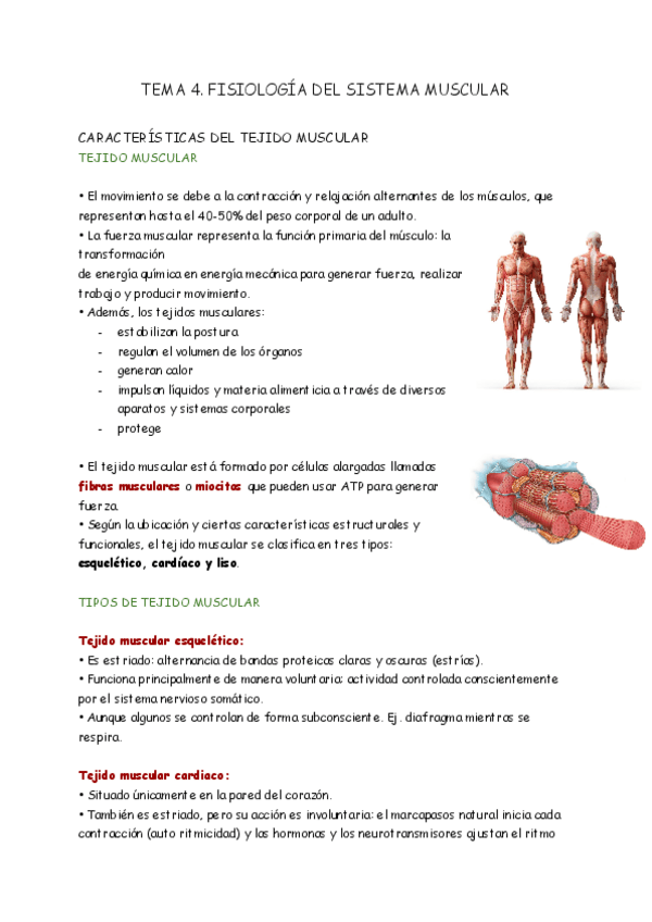 Miniatura del documento TEMA-4-FISIO.pdf
