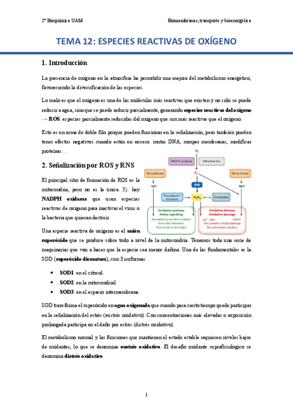 Miniatura del documento TEMA-12.-Especies-reactivas-de-oxigeno..pdf