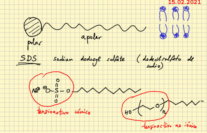 Miniatura del documento 2021-02-1516notaspizarravirtual.pdf
