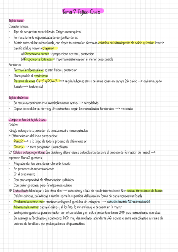 Miniatura del documento SEGUNDO-PARCIAL-TODO.pdf