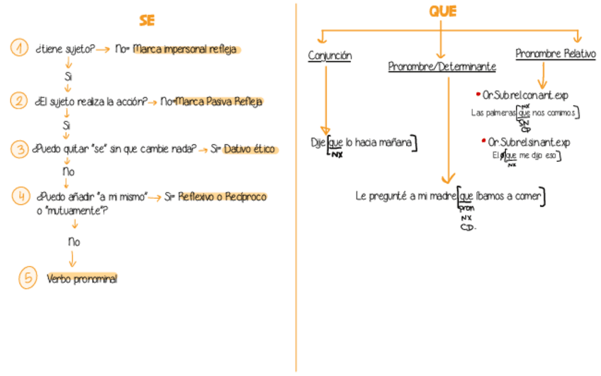 Miniatura del documento Tipos-de-Se-y-Que-Lengua-2oBach.pdf
