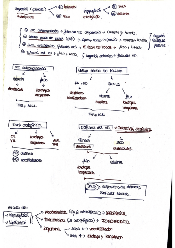 Miniatura del documento RESUMEN-TEMA-4-URGENCIAS.pdf