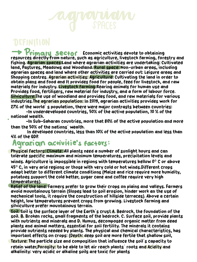 Miniatura del documento Theprimarysector.pdf