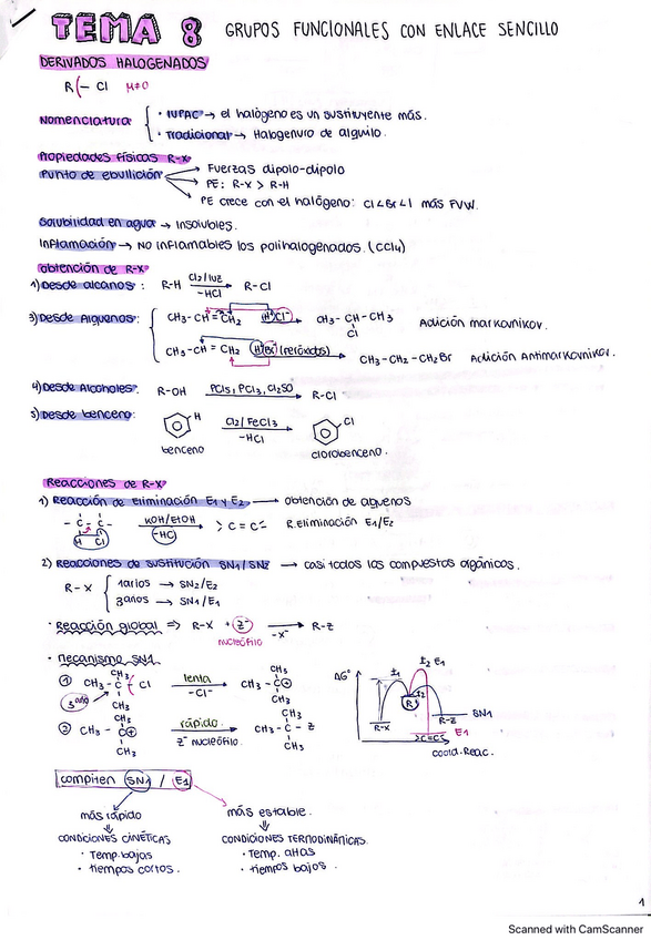 Miniatura del documento Tema-8-Quimica-II.pdf