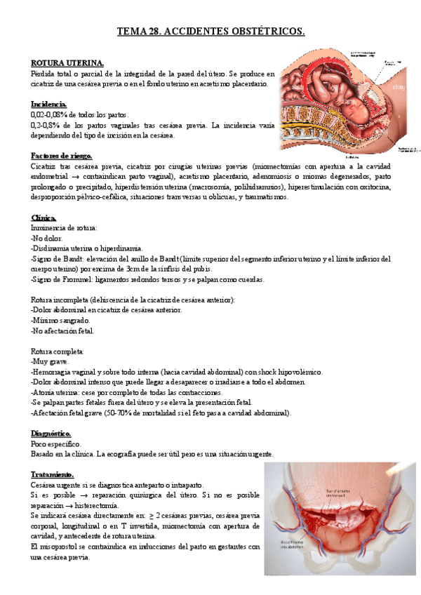 Miniatura del documento TEMA-28.-ACCIDENTES-OBSTETRICOS..pdf