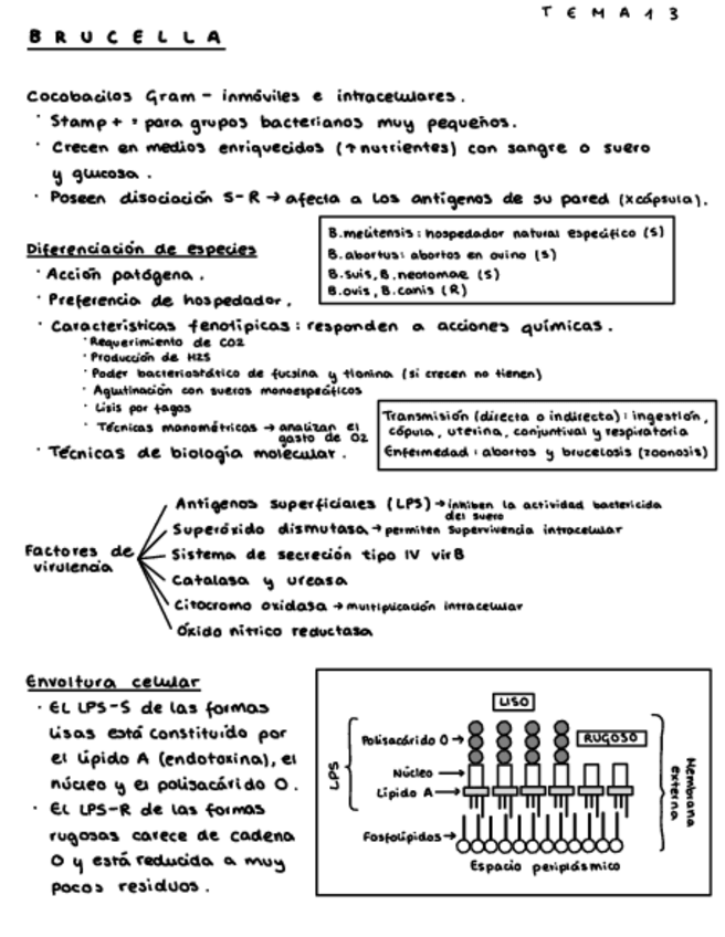 Miniatura del documento Segunda-Parte-Micro-I.pdf