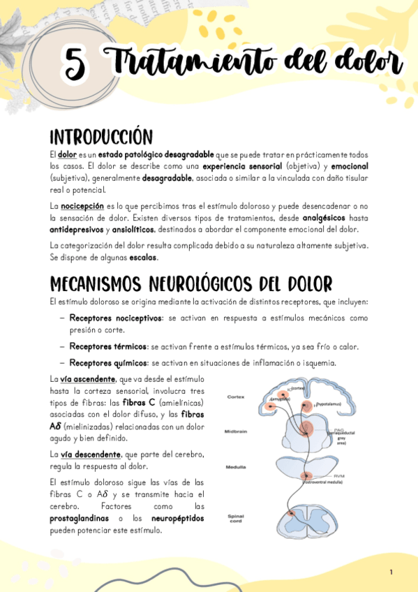 Miniatura del documento Tema-5.-Tratamiento-del-dolor.pdf