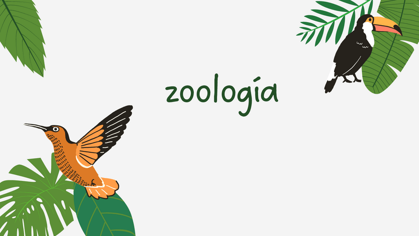 Miniatura del documento Zoología-2a-parte.pdf