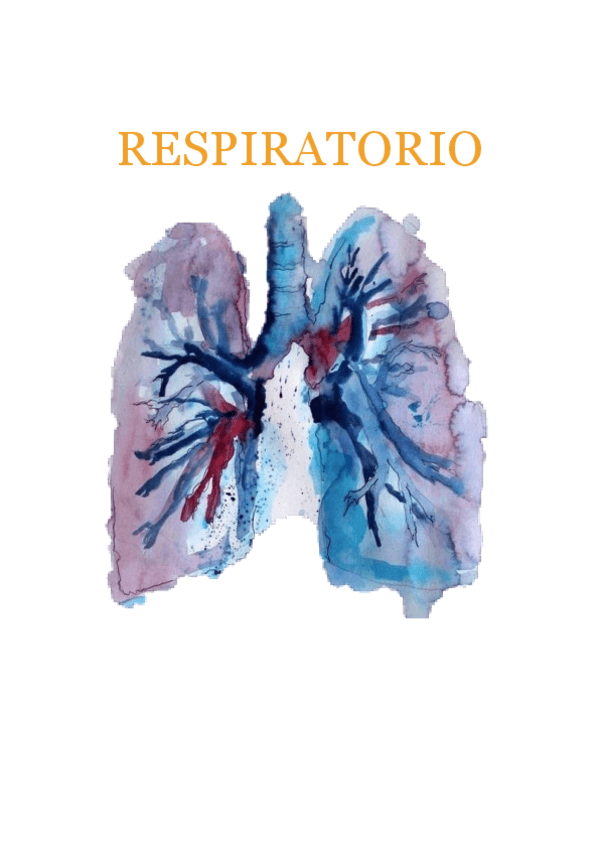 Miniatura del documento APUNTES-RESPIRATORIO.pdf