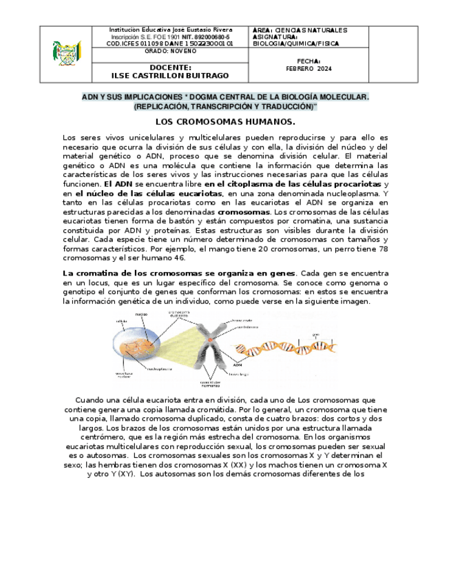 Miniatura del documento ADN-Y-SUS-IMPLICACIONES-DOCUMENTO.docx