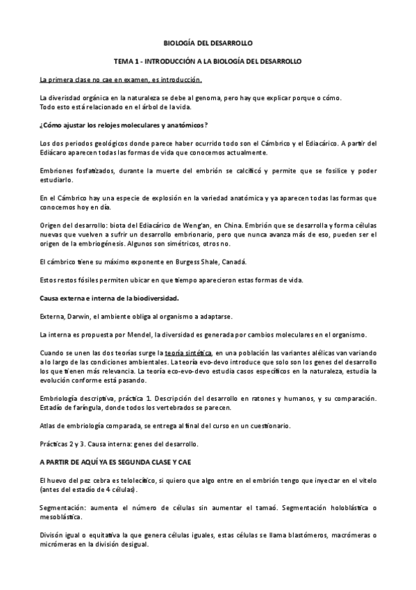 Miniatura del documento Tema-5.2-Segmentacion.pdf