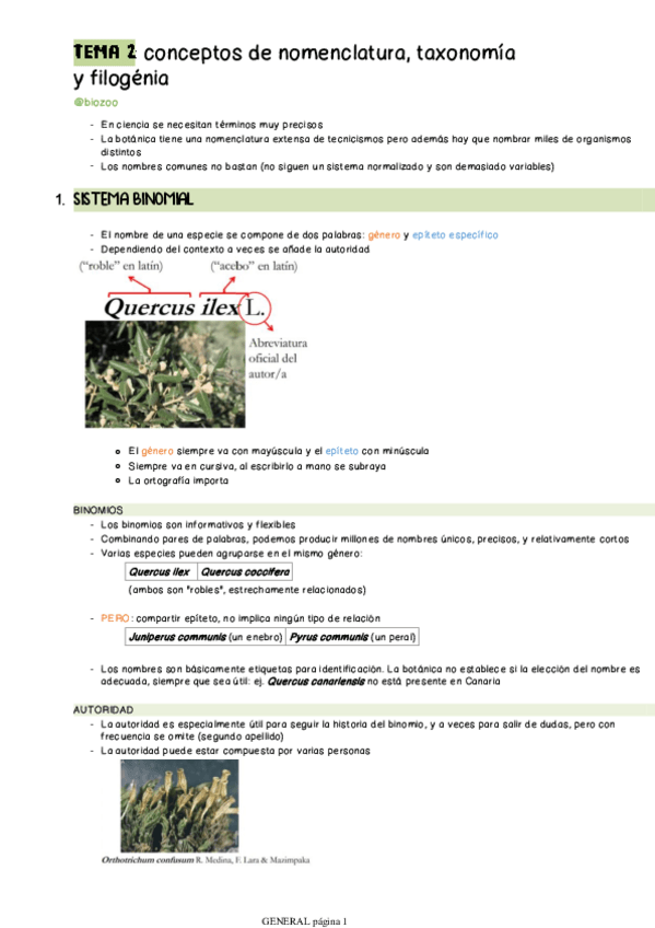 Miniatura del documento TODO-BOTANICA.pdf