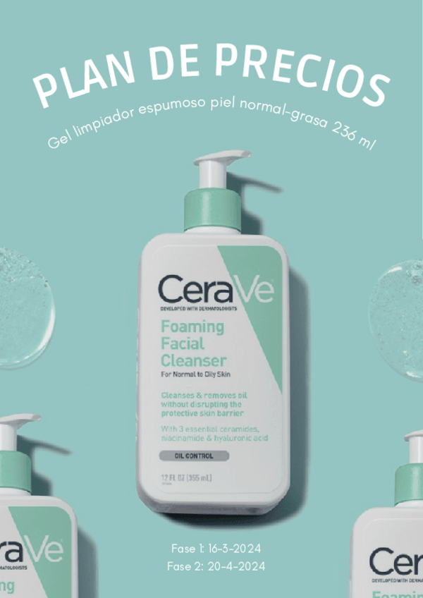 Miniatura del documento Plan-de-Costes-CeraVe.pdf