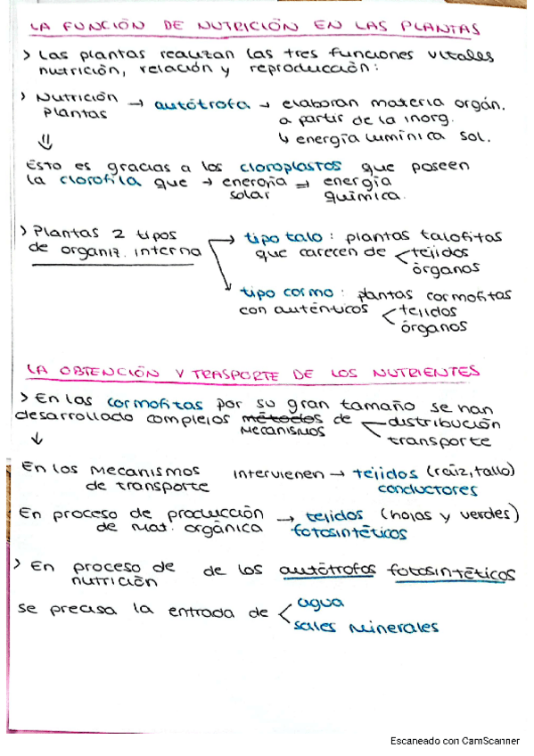 Miniatura del documento NUTRICION-EN-PLANTAS.pdf