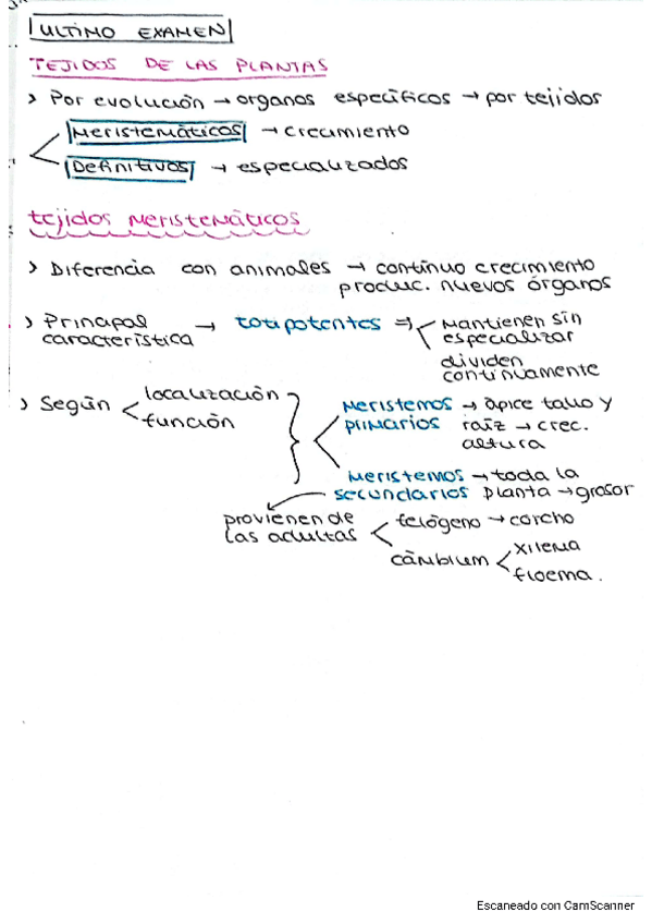 Miniatura del documento TEJIDOS-DE-LAS-PLANTAS.pdf