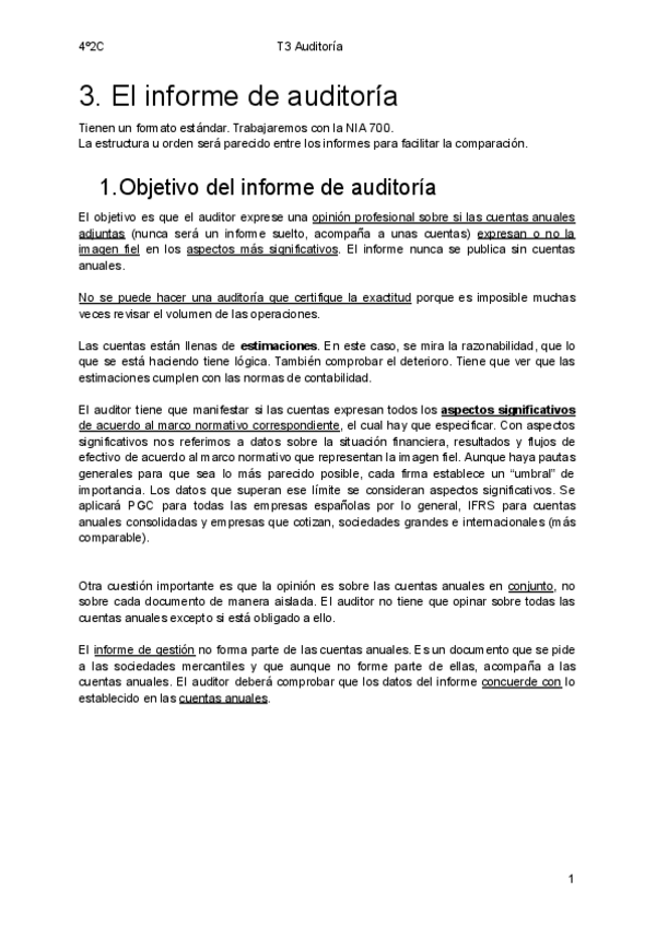 Miniatura del documento 3InformeAuditoria.pdf