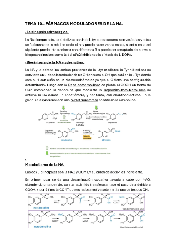 Miniatura del documento Quifar-temas-10-11.pdf