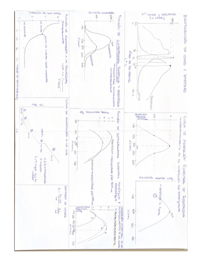 Miniatura del documento Graficas-primer-parcial-preguntas-de-desarrollo.pdf
