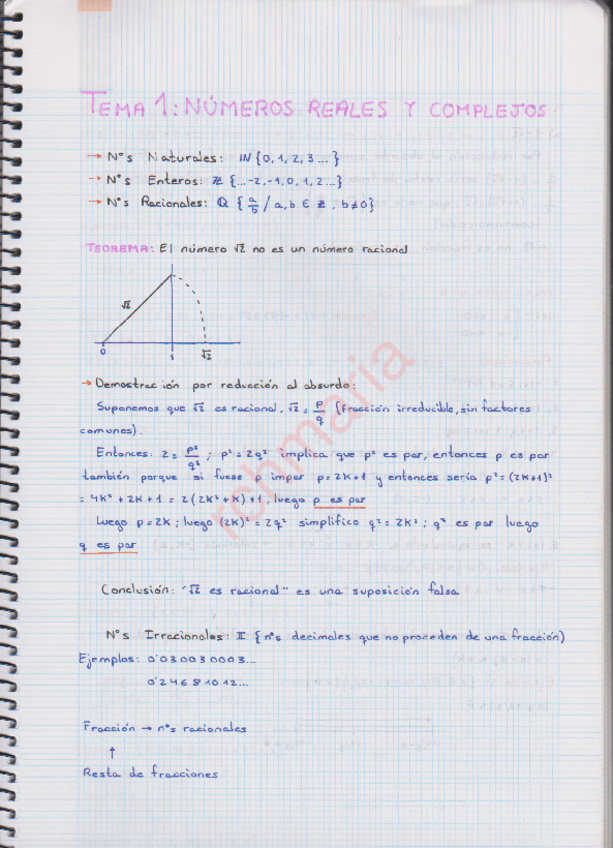 Miniatura del documento Tema 1 Números reales y complejos.pdf