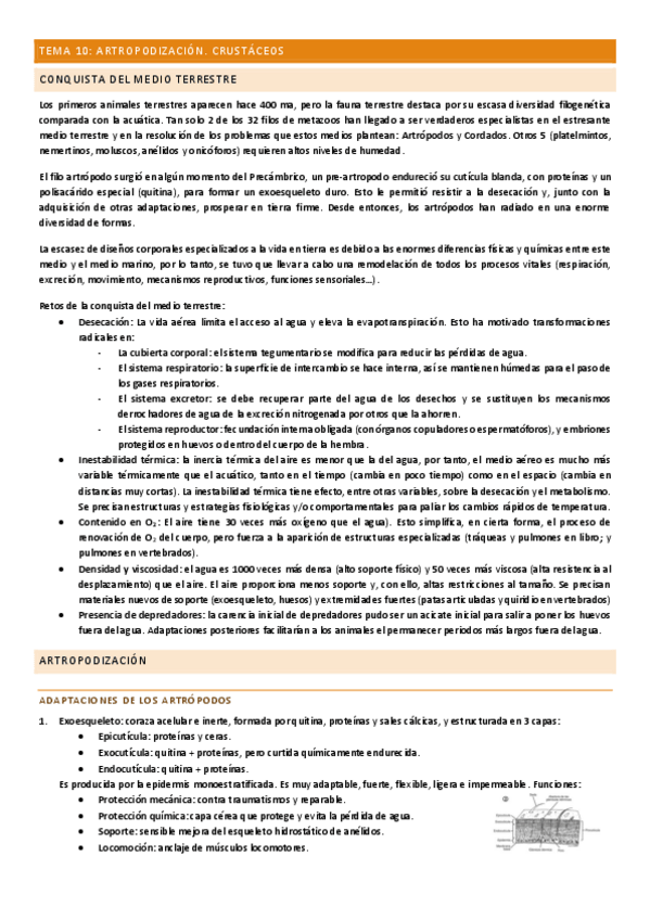 Miniatura del documento Tema-10.pdf