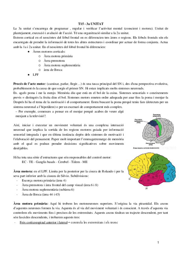 Miniatura del documento T15-PSICOFISIO.docx