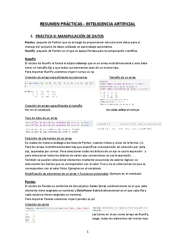 Miniatura del documento Resumen-practicas.pdf