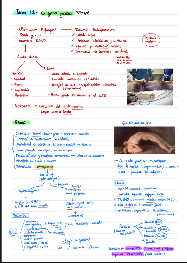 Miniatura del documento Tema-12-esquema.jpeg