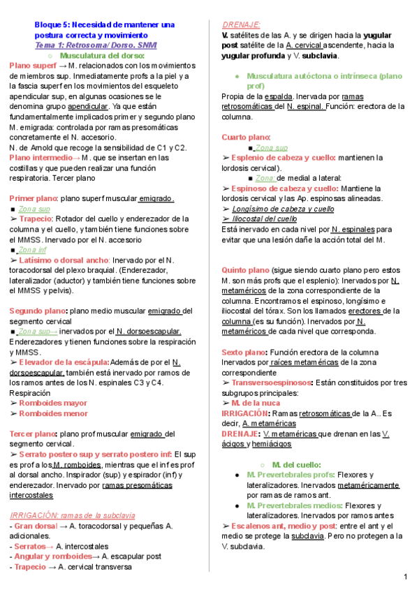 Miniatura del documento Bloque-5-Anatomia.pdf