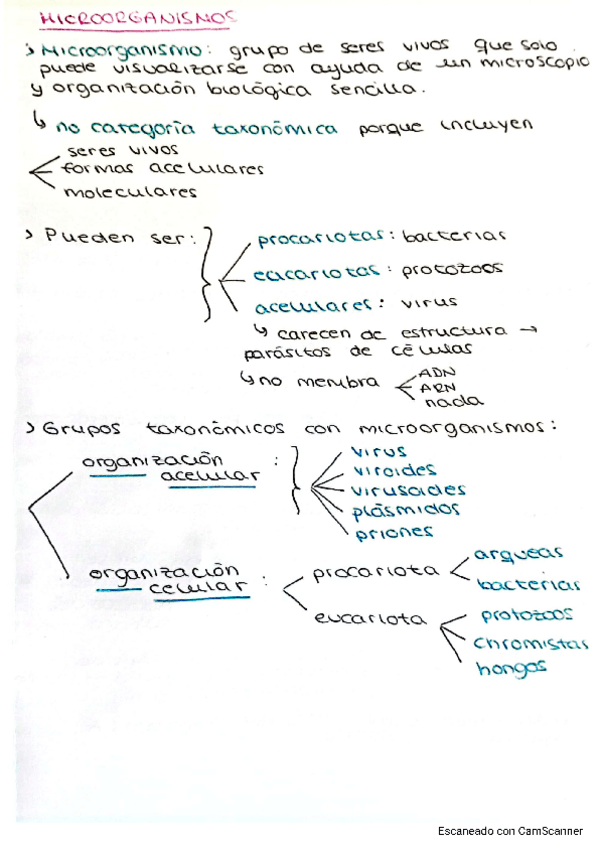Miniatura del documento MICROORGANISMOS.pdf