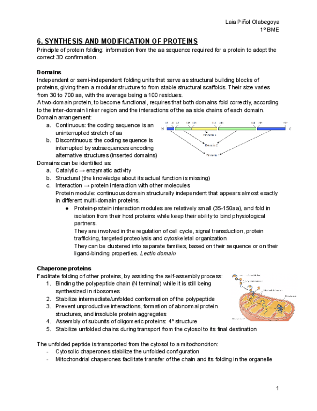 Miniatura del documento Biology-2o-cuatri.pdf