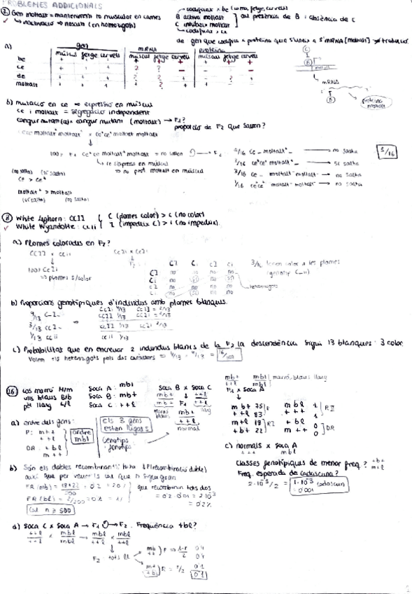 Miniatura del documento Problemes-addicionals-resolts.pdf