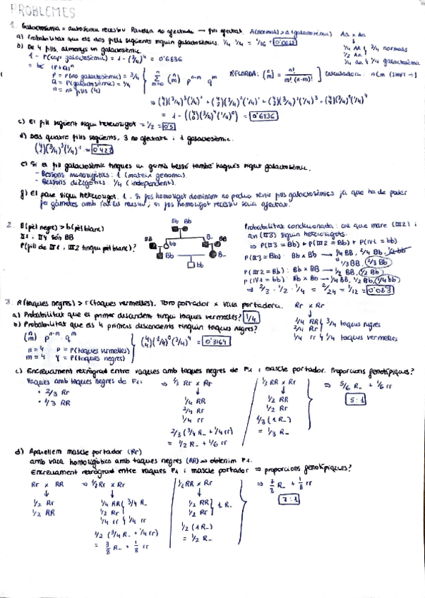 Miniatura del documento Problemes-resolts.pdf