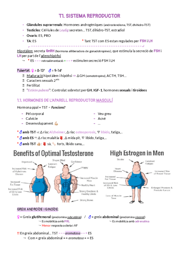 Miniatura del documento BLOC 10. PATOLOGIA REPRODUCTOR.pdf