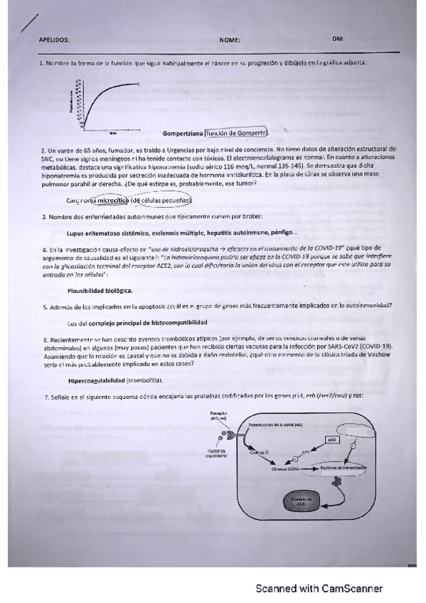 Miniatura del documento EXAMEN-JUNIO-2021.pdf