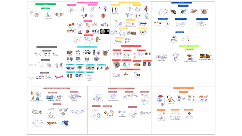 Miniatura del documento visu.pdf