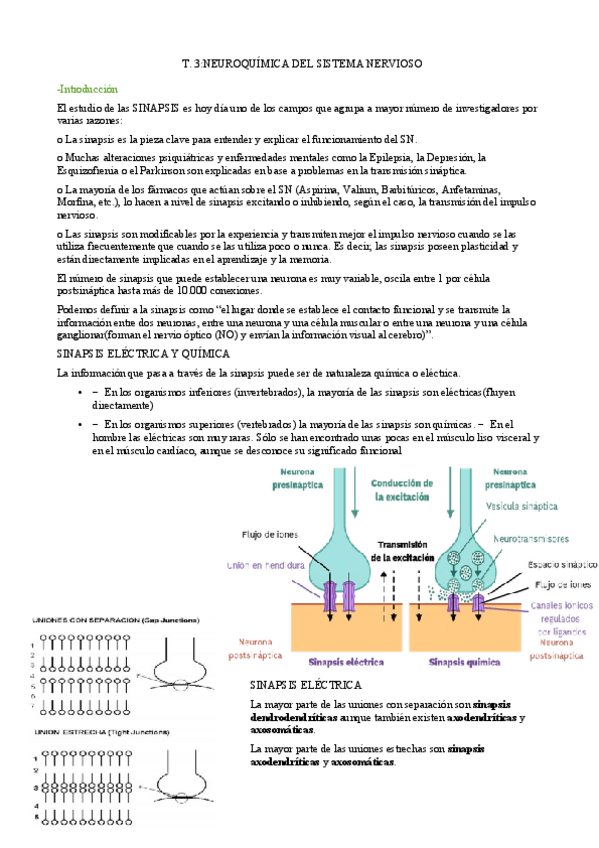 Miniatura del documento Tema-3-neurociencia JUANFRAN.pdf