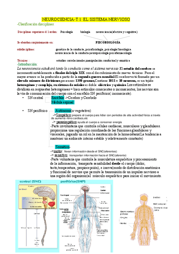 Miniatura del documento tema-1-neurociencia-JUANFRAN.pdf