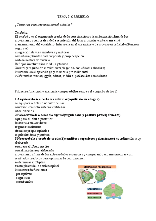 Miniatura del documento tema-7-neurociencia-JUANFRAN.pdf