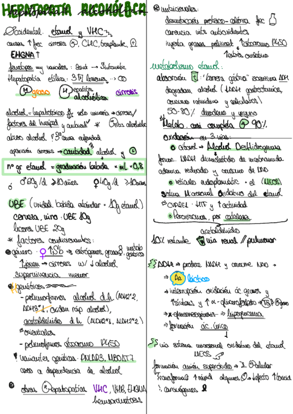 Miniatura del documento hepatopatiaalcoholica.pdf