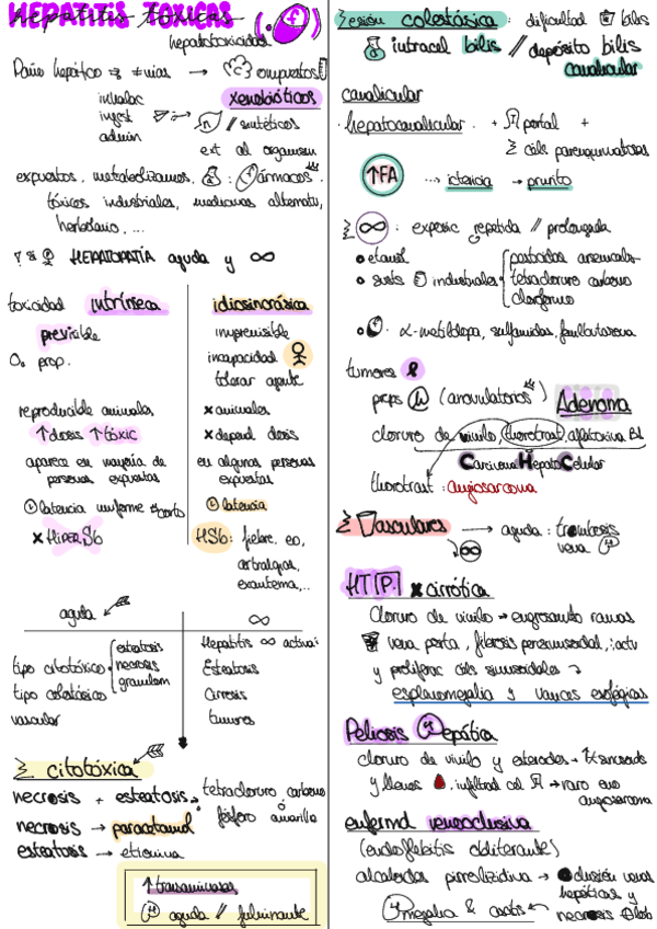 Miniatura del documento hepatotoxfarmacos.pdf