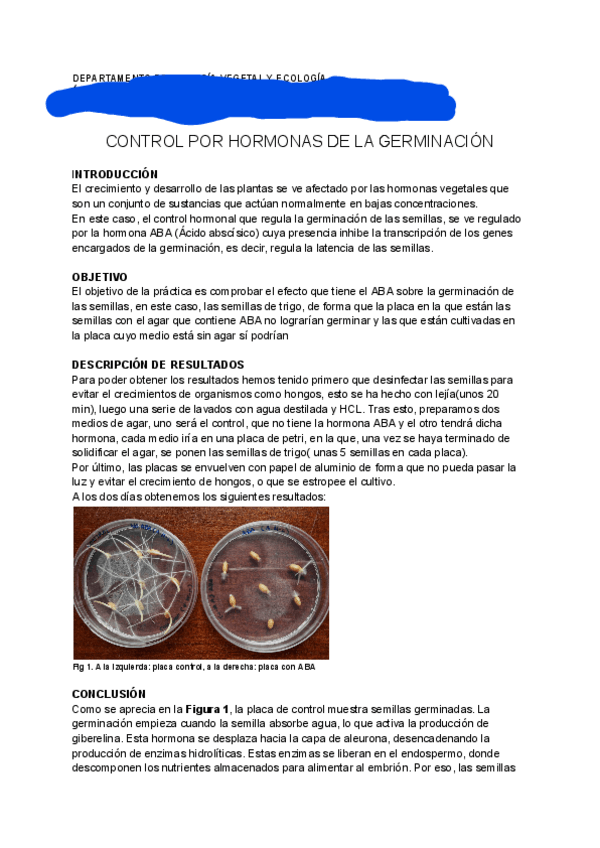 Miniatura del documento INFORME-DE-PRACTICA-5-F.V..pdf