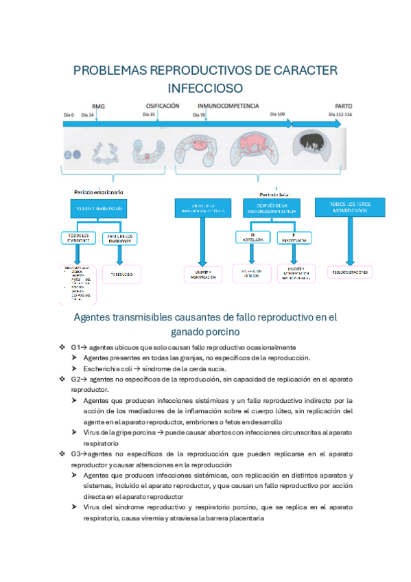 Miniatura del documento PROBLEMAS-REPRODUCTIVOS-DE-CARACTER-INFECCIOSO.pdf
