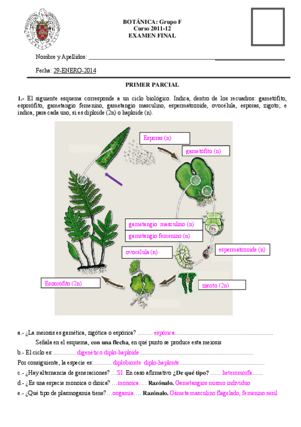 Miniatura del documento 0exam_1_parcial.pdf