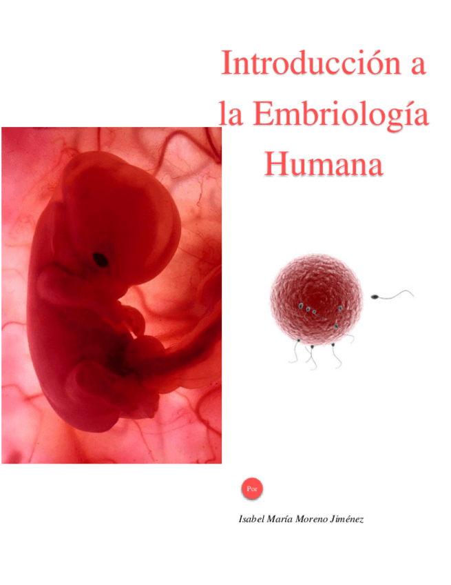 Miniatura del documento 2.pdf