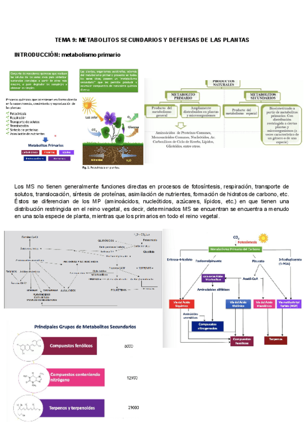 Miniatura del documento Bases-TEMA-9-10.pdf