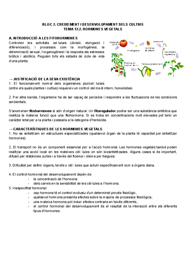 Miniatura del documento Bases-TEMA-12.2.pdf