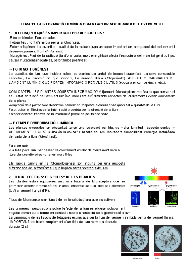 Miniatura del documento Bases-TEMA-13-14.pdf