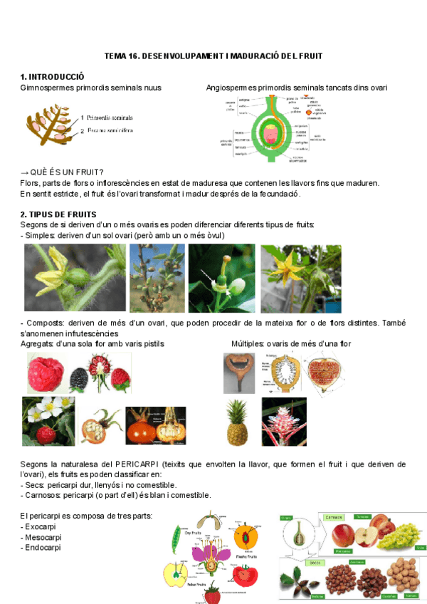 Miniatura del documento Bases-TEMA-16.pdf