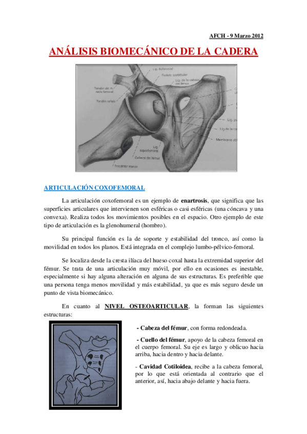 Miniatura del documento 9-3-12 [CADERA].pdf