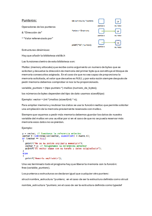 Miniatura del documento resumen-punteros.pdf